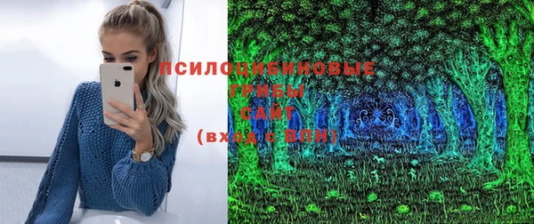 бошки Беломорск