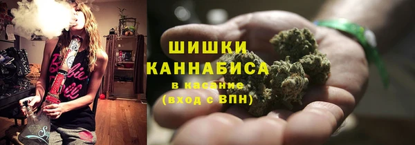 PSILOCYBIN Баксан