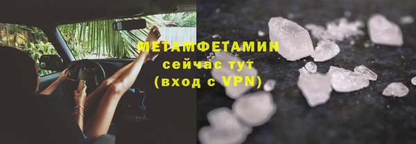 трава Белокуриха