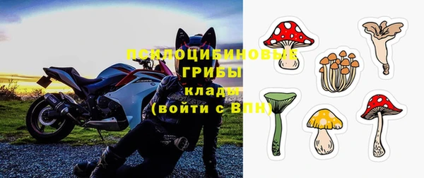 PSILOCYBIN Баксан