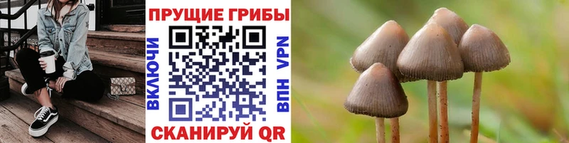 Галлюциногенные грибы Cubensis где найти наркотики ссылка на мегу ссылка Ханты-Мансийск