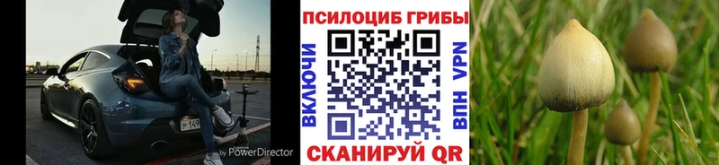 Псилоцибиновые грибы мухоморы Ханты-Мансийск